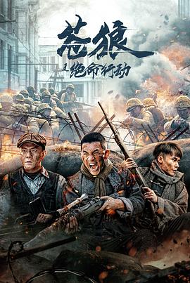苍狼之绝命行动封面图