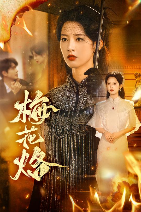 梅花烙封面图