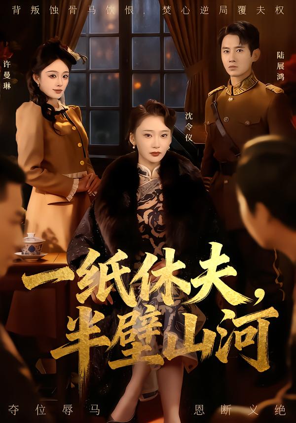 一纸休夫，半壁山河封面图