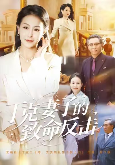 丁克妻子的致命反击封面图
