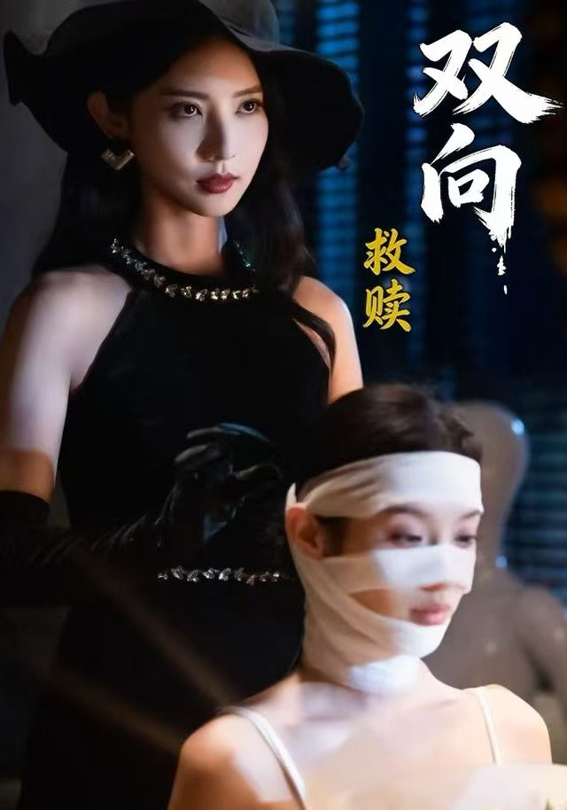 双向救赎封面图