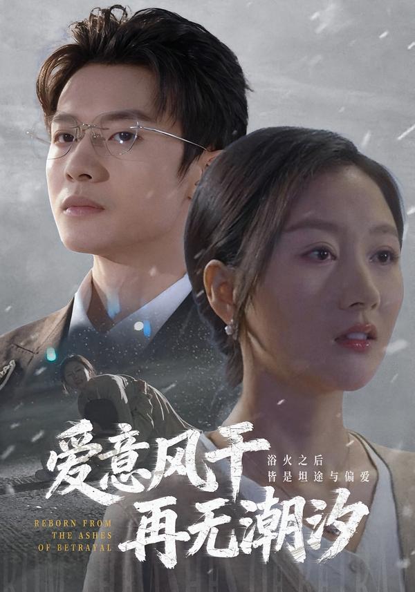 爱意风干再无潮汐封面图