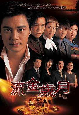 流金岁月2002[电影解说]封面图