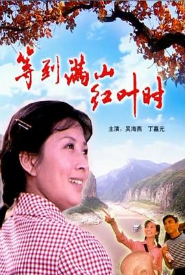 等到满山红叶时封面图