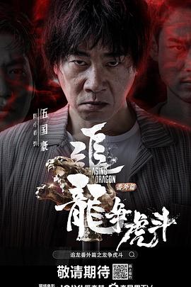 追龙番外篇之龙争虎斗粤语封面图