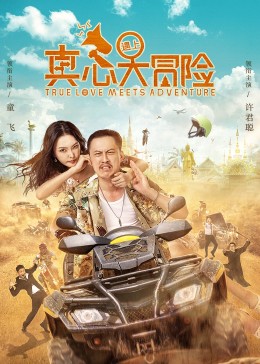真心遇上大冒险封面图