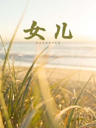 女儿2011封面图