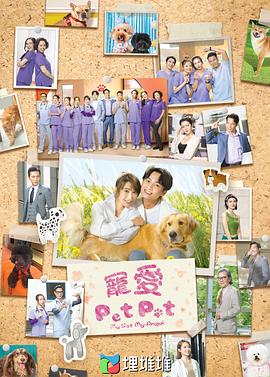 宠爱Pet Pet封面图