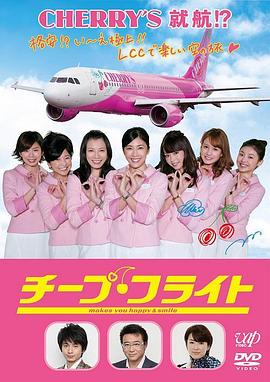 廉价航班2013封面图