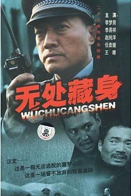 无处藏身封面图