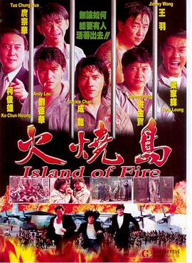 火烧岛1991封面图