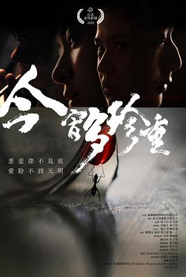 今宵多珍重2020封面图