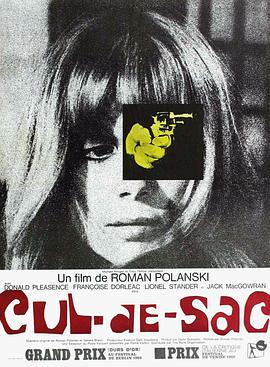 荒岛惊魂1966封面图