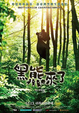 黑熊来了封面图