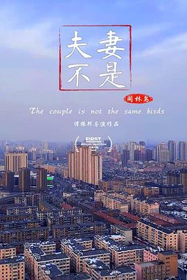 夫妻不是同林鸟封面图