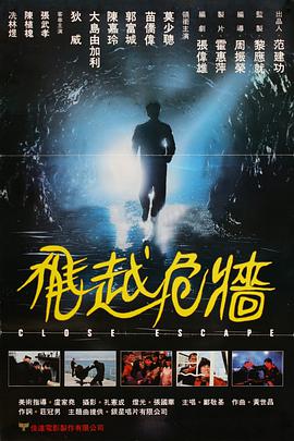 飞越危墙封面图