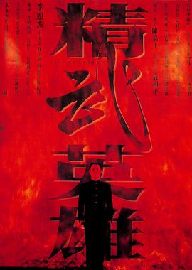 精武英雄1994封面图
