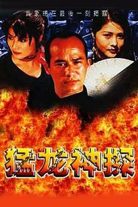 猛龙神探1998封面图