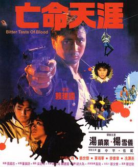 亡命天涯封面图