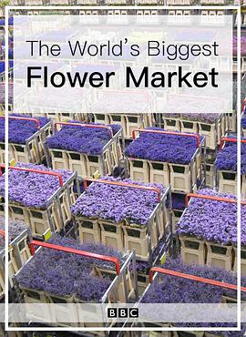 世界上最大的鲜花市场封面图