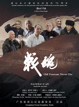 战魂2015封面图