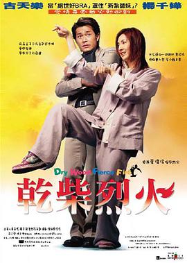 干柴烈火2002封面图