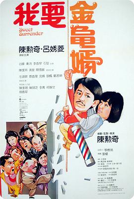 我要金龟婿1986封面图