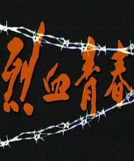 烈血青春1991封面图