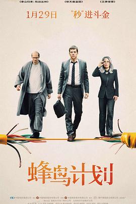 蜂鸟计划封面图