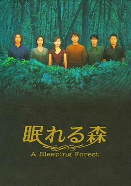 沉睡的森林封面图