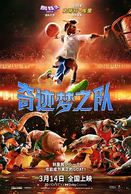奇迹梦之队封面图