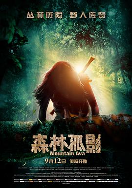 森林孤影封面图