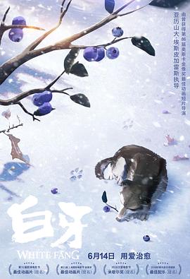 白牙法语封面图