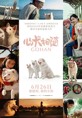 心犬相随[电影解说]封面图