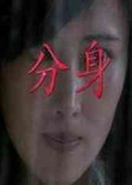 分身2011封面图