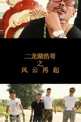 二龙湖浩哥之风云再起[电影解说]封面图