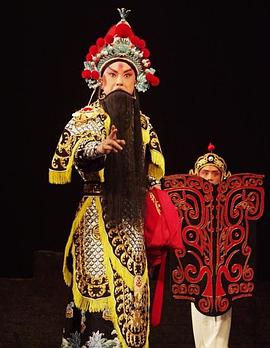 袁崇焕2009封面图