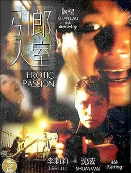 引郎入室1993[电影解说]封面图