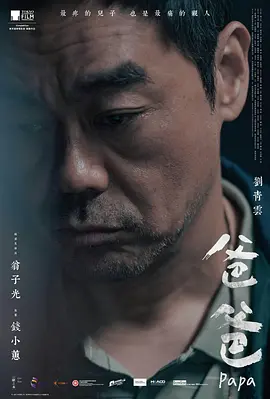 爸爸2024[电影解说]封面图