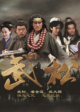武松2013[电影解说]封面图