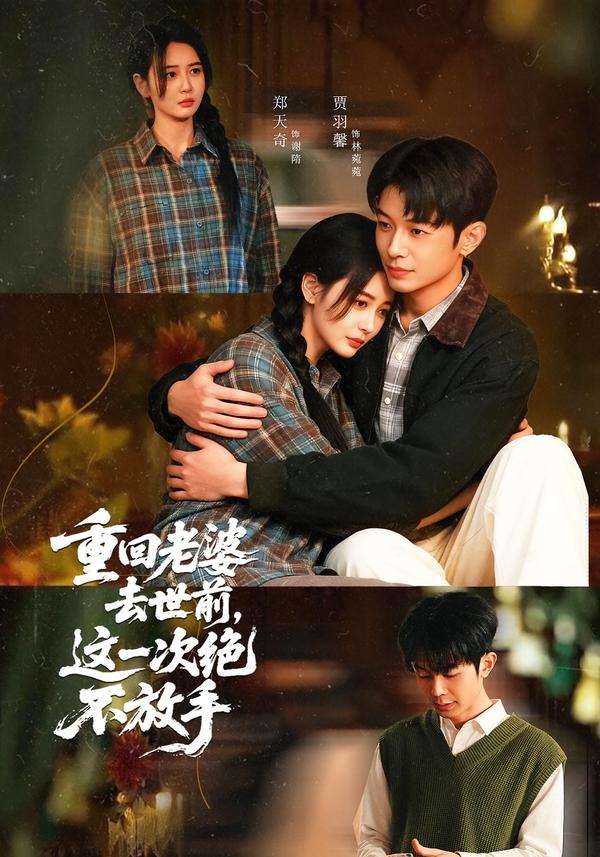 重回老婆去世前，这一次绝不放手封面图