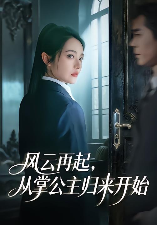 风云再起，从掌公主归来开始封面图