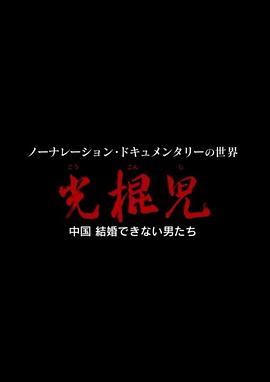 光棍儿：中国结不了婚的男人们[电影解说]封面图