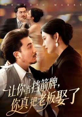 让你当挡箭牌，你真把老板娶了封面图