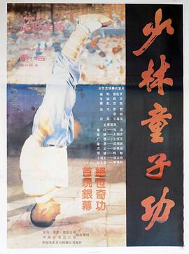 少林童子功[电影解说]封面图