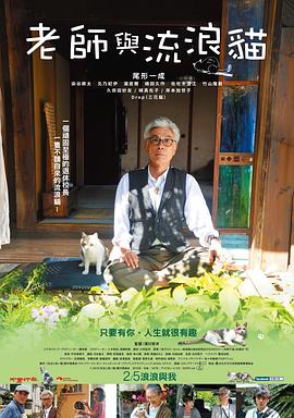 老师与流浪猫[电影解说]封面图