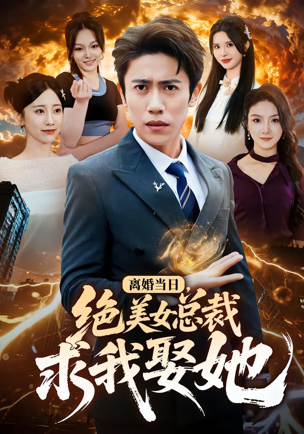 离婚当日，绝美女总裁求我娶她封面图