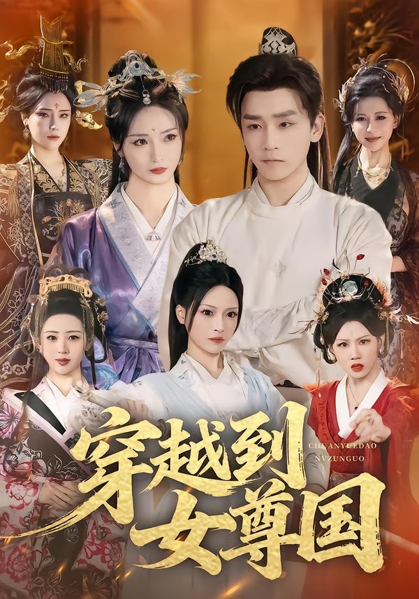 穿越到女尊国封面图