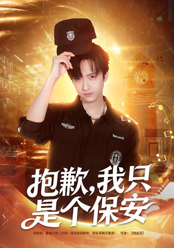 抱歉，我只是个保安封面图