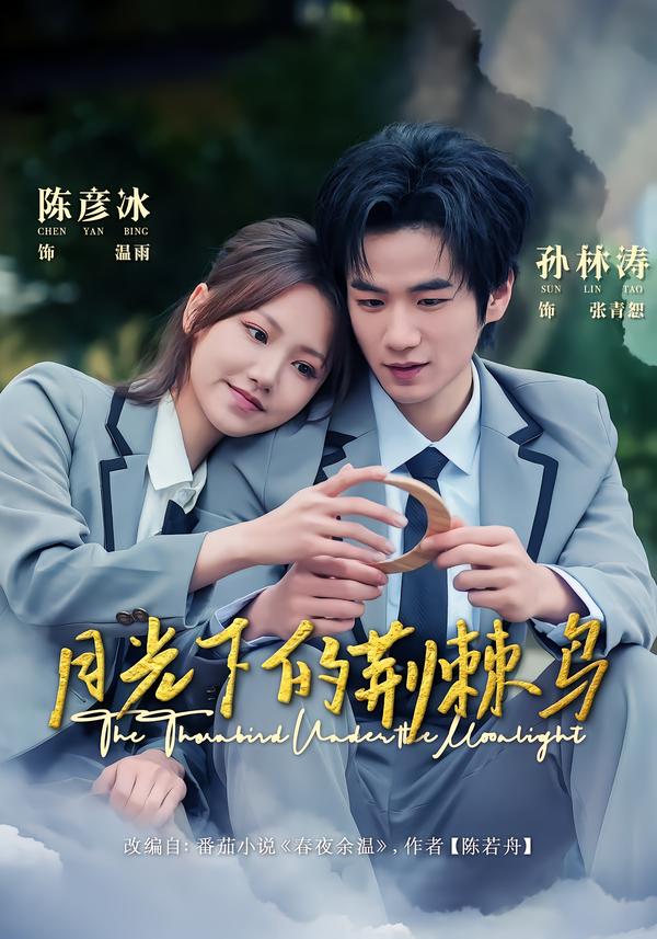 月光下的荆棘鸟封面图